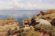 unknow artist Sheep 164 oil painting reproduction
